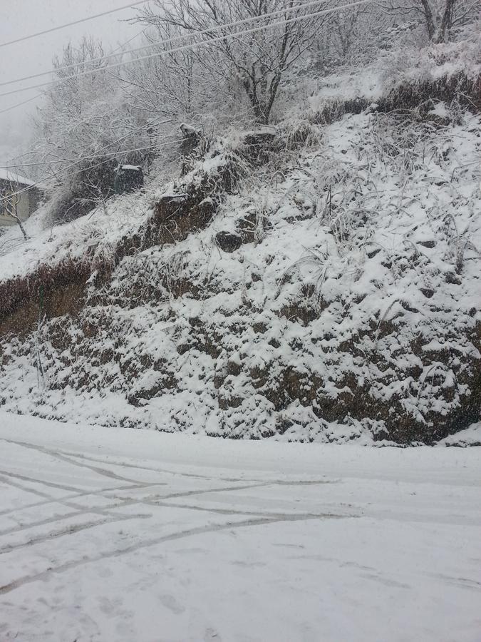 Holiday Bnb Manali Exterior photo